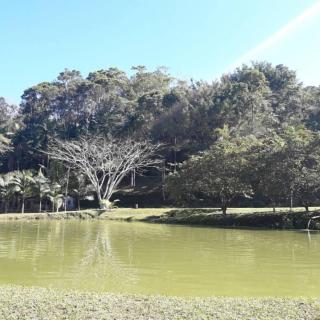 Chalé com banheira, em sítio dentro da mata atlântica - Tapiraí - 1