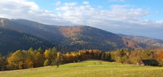 Apartamenty Marii Kawik - Brenna - 8
