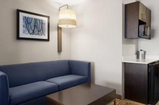 Holiday Inn Express St. Petersburg North / I-275 by IHG - St. Petersburg - 9