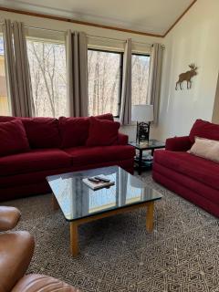 Pet Friendly Condo near Loon - Lincoln - 9