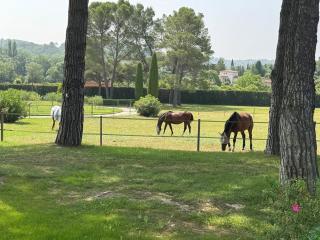 Le Mas Rose - Opio - 7
