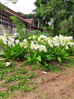 Spring Haven Yercaud - Salem - 1
