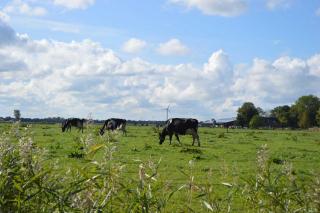 Ferienwohnung Baltrum - Schillig - 9