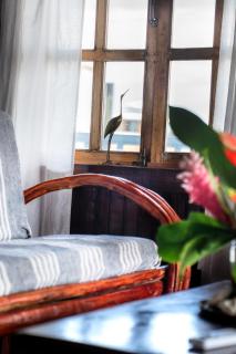 Casa Acuario Boutique Hotel - Bocas del Toro - 1