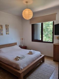 Anesis House - Stroumbi - 5