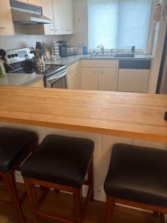 Pet Friendly Condo near Loon - Lincoln - 5
