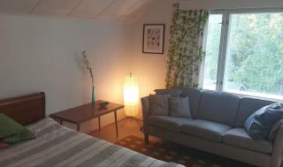 Hyvän Elämän Koulun huoneisto Good Life Homestay Apartment - Ahmovaara - 5