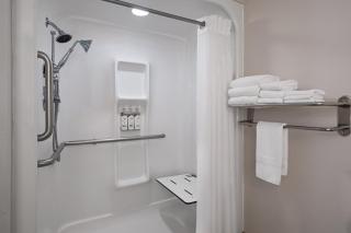 Holiday Inn Express St. Petersburg North / I-275 by IHG - St. Petersburg - 4