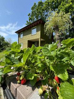 Margis House - - 9