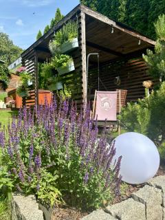 Lawendowo- sauna, basen, domki w ogrodzie i apartamenty w kamienicy - Sandomierz - 6