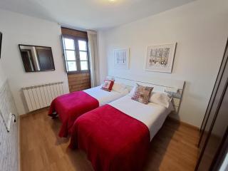 Stone, wifi, pet-friendly y garage - Arafita Apartamentos - Formigal - 9