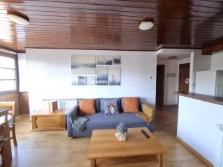 Stone, wifi, pet-friendly y garage - Arafita Apartamentos - Formigal - 7