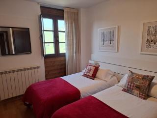 Stone, wifi, pet-friendly y garage - Arafita Apartamentos - Formigal - 3