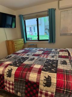 Pet Friendly Condo near Loon - Lincoln - 3