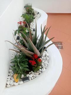 CASA TINA piscina privada - Candelaria - 4