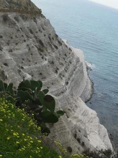 Casa Ficodindia - Realmonte - 1