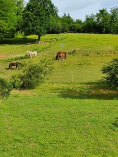 Ferienwohnung Landliebe, nahe Jennersdorf und Therme - Windisch Minihof - 6