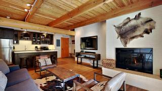 Timberline Condominiums 1 Bedroom Premier Unit D2F - Snowmass Village - 7