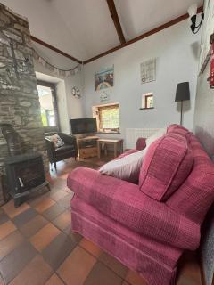 Nanternis Farm - Llanllwchaiarn - 8