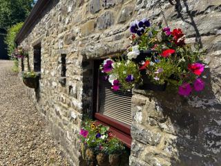 Nanternis Farm - Llanllwchaiarn - 0