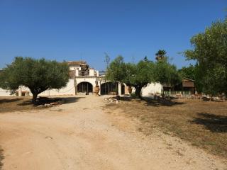 Resort Carpe Diem El Perelló - 5