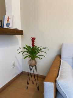 Studio-House with Tropical Garden - Belo Horizonte - 9