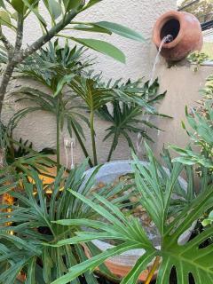 Studio-House with Tropical Garden - Belo Horizonte - 6