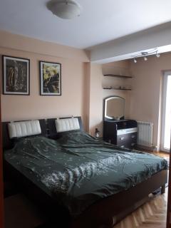 Eleni apartment - Vojnica - 1
