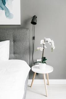 Charming downtown apartment with park view - 3