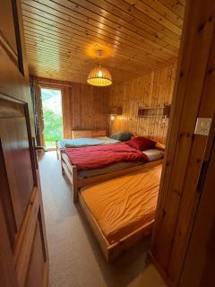 Appartement avec jardin au coeur de la nature - Zinal - 9