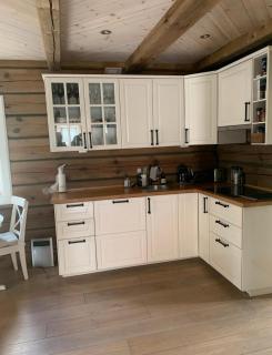 Luxurious 4 bedroom Mountain Cabin with Gaustatoppen View - Gaustablikk - 4