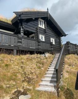 Luxurious 4 bedroom Mountain Cabin with Gaustatoppen View - Gaustablikk - 9