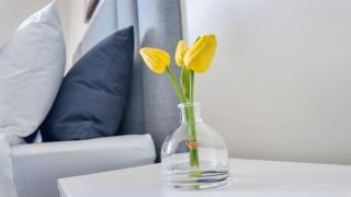 Apartment in uMhlanga The Millennial - Durban - 2