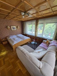 Haus Bellaflora Apartman - Haus im Ennstal - 7