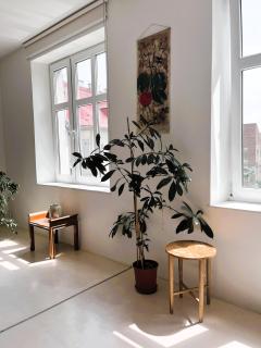 Apartmán Olomouc - Olomouc - 3