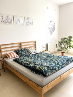 Apartmán Olomouc - Olomouc - 5