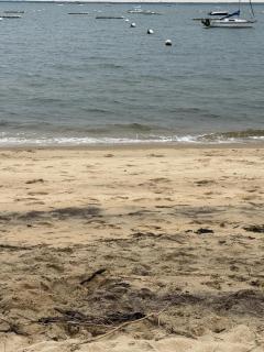 Le grand Large - Arcachon - 3