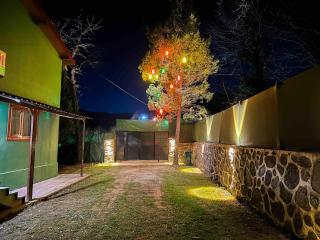 Sapanca Orman İçinde Özel Havuzlu Villa - Sakarya - 1