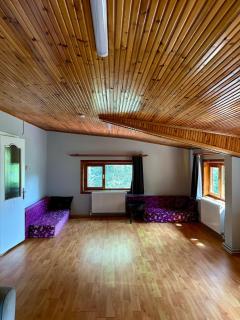 Sapanca Orman İçinde Özel Havuzlu Villa - Sakarya - 5