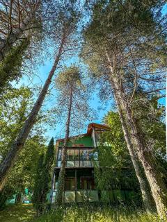 Sapanca Orman İçinde Özel Havuzlu Villa - Sakarya - 7