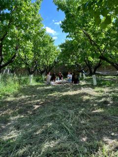 Թեղիան , Teghian - Abovyan - 6