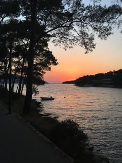 Jackie on Hvar - Stari Grad - 5
