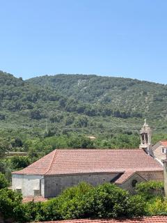Jackie on Hvar - Stari Grad - 1