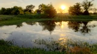 Summer Breeze RV Park - Wills Point - 8