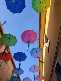 Tuscany WineArt - 8