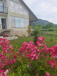 Vitrazhi Sachkhere - 0