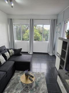 Apartment Matur View - Machico - 5
