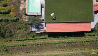 Quinta da Coitada - Alojamento Local - 8