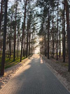 Čiki Puki Kunigiškiuose - Palanga - 2