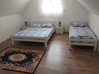 Apartments Komfor Plus - Nikšić - 2